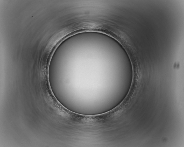 X0000114191073200910231316