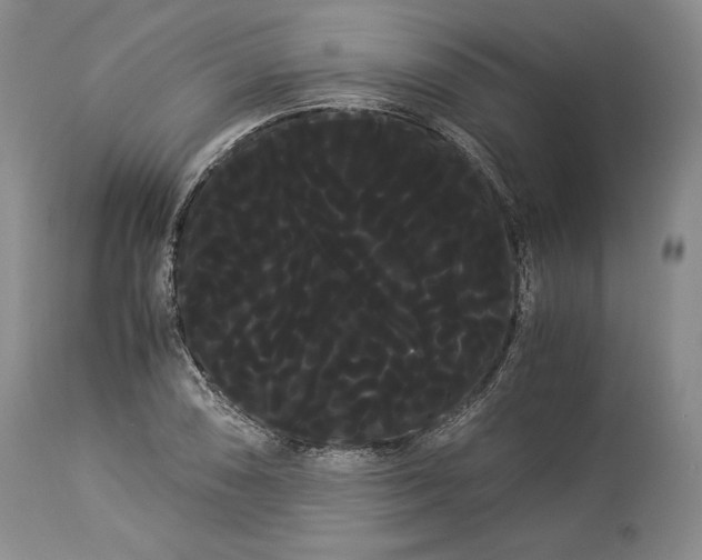 X0000114191074200910231316