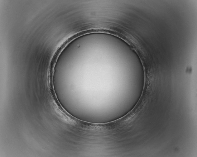X0000114191076200910231316