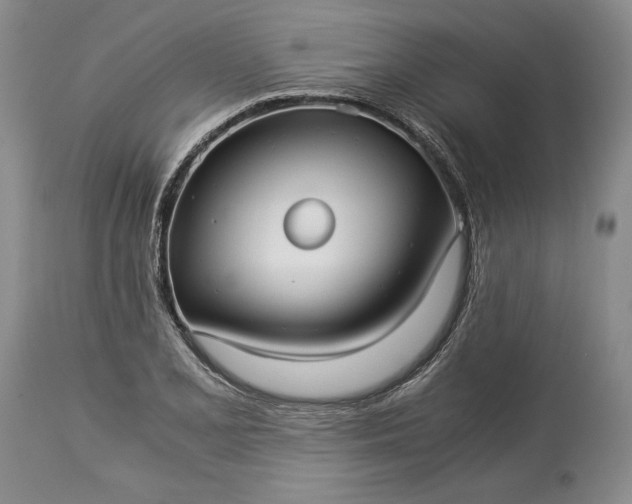 X0000114191077200910231316