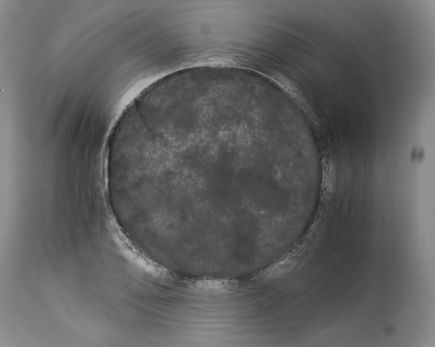 X0000114191078200910231316
