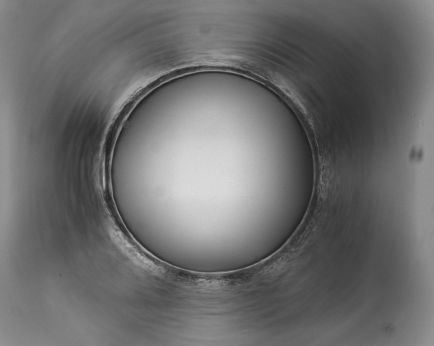 X0000114191080200910231315
