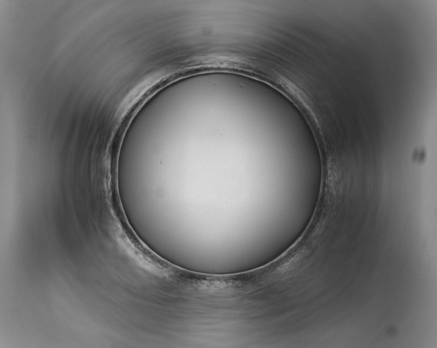 X0000114191082200910231315