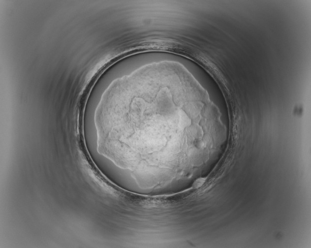 X0000114191083200910231315