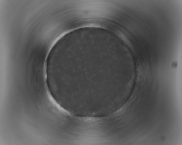 X0000114191084200910231315