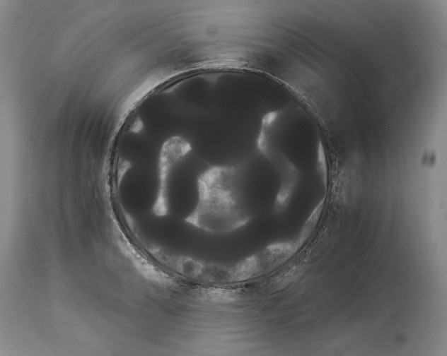 X0000114191086200910231315