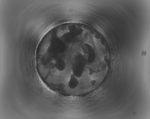 X0000114191087200910231315
