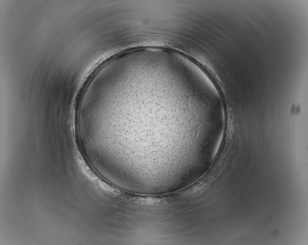 X0000114191088200910231315