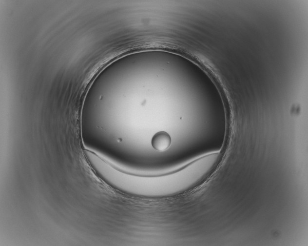 X0000114191089200910231315