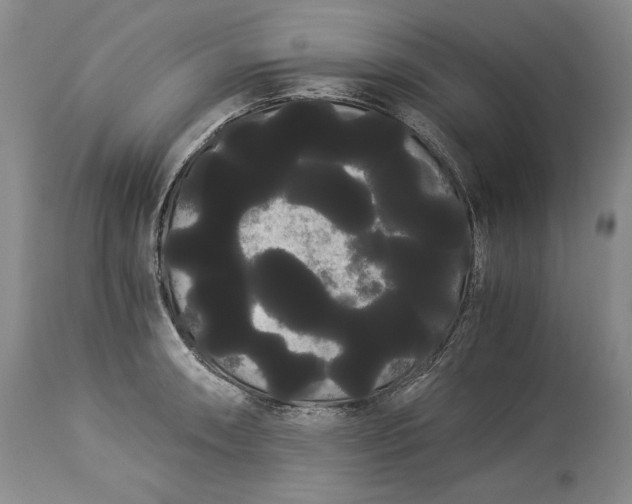 X0000114191090200910231315