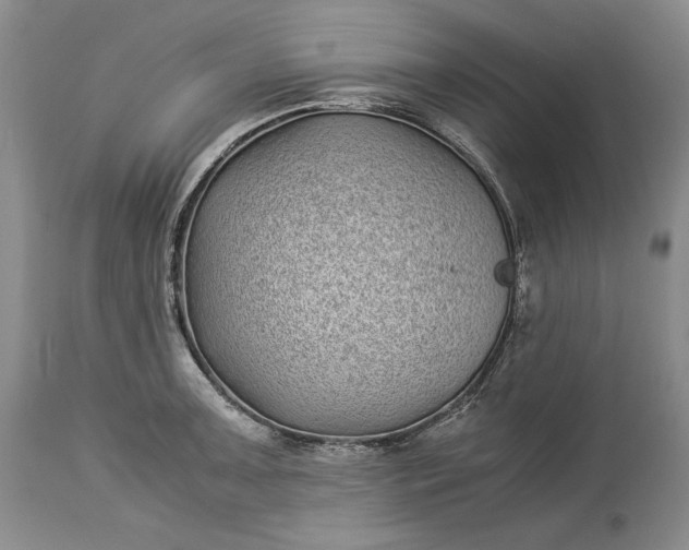 X0000114191091200910231315