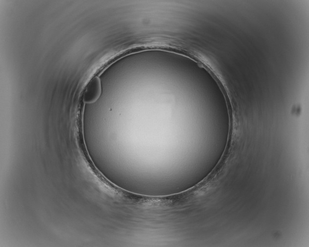 X0000114191093200910231315