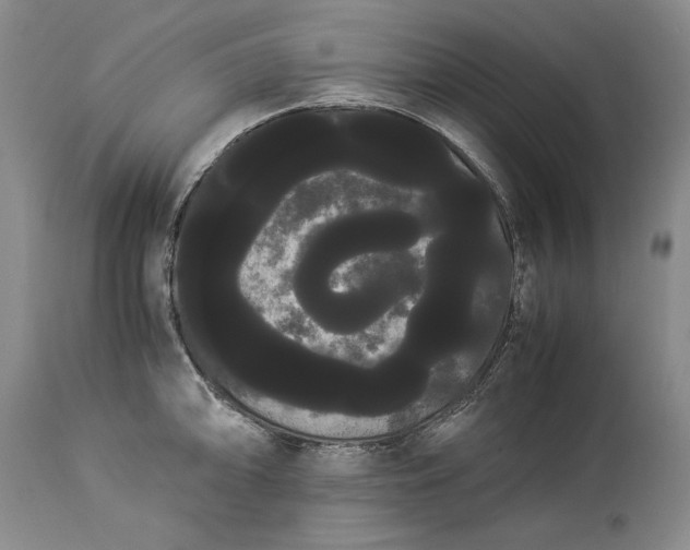 X0000114191094200910231315