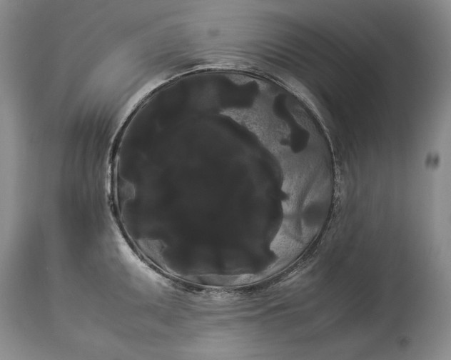 X0000114191095200910231315
