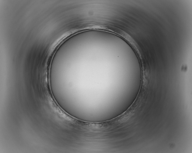 X0000114191096200910231315