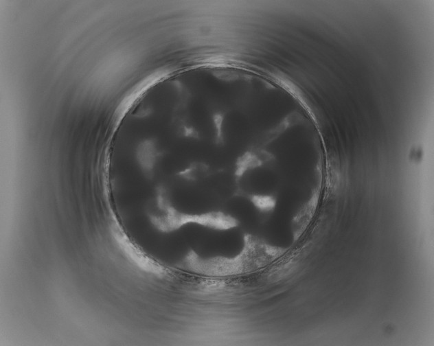 X0000114191098200910231315