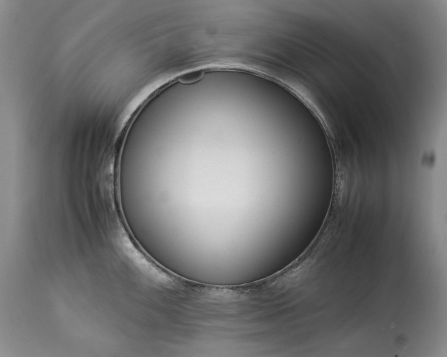 X0000114191100200910231315