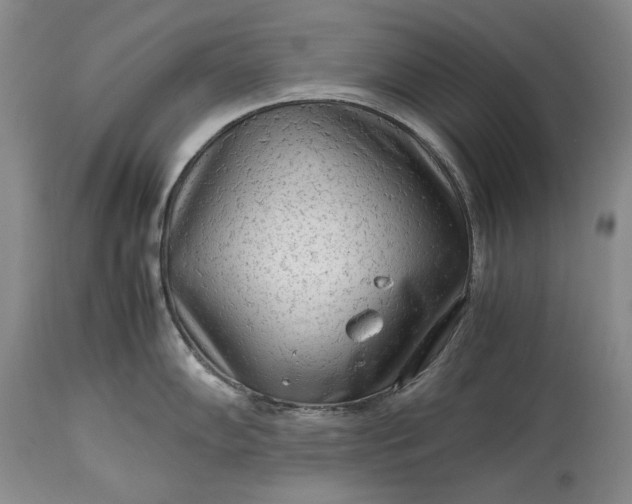 X0000114191102200910231315