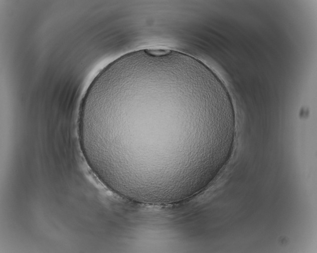 X0000114191104200910231315