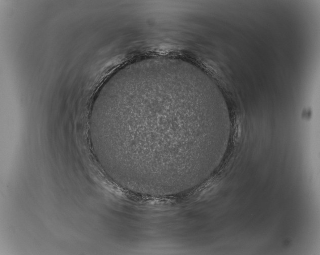 X0000114191105200910231314