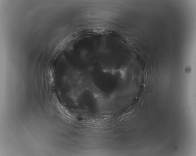 X0000114191106200910231314