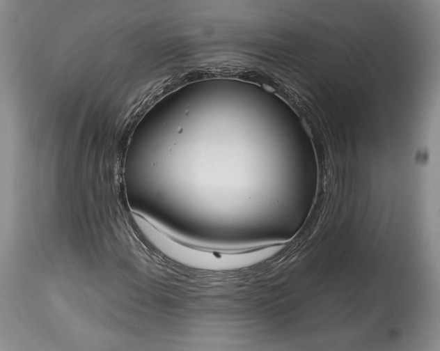 X0000114191108200910231314