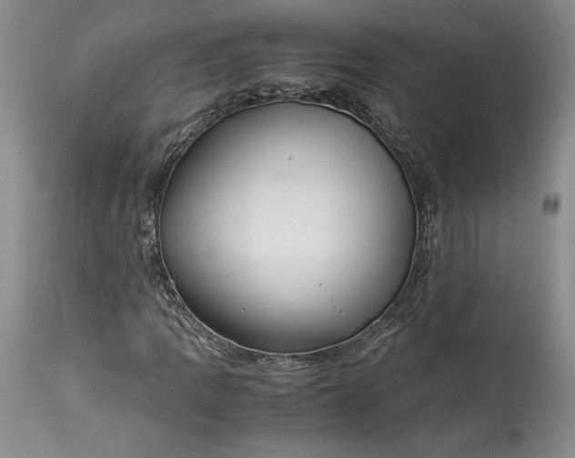X0000114191109200910231314