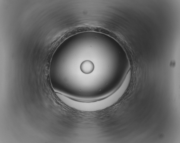 X0000114191110200910231314