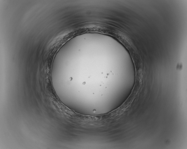 X0000114191111200910231314
