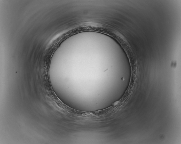 X0000114191112200910231314