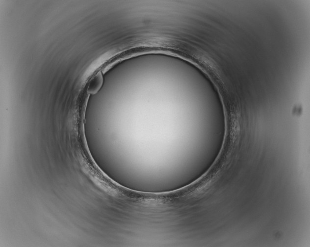 X0000114191114200910231314