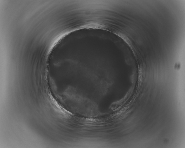 X0000114191115200910231314