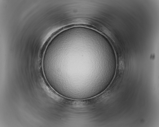 X0000114191116200910231314