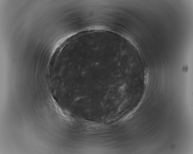 X0000114191117200910231315