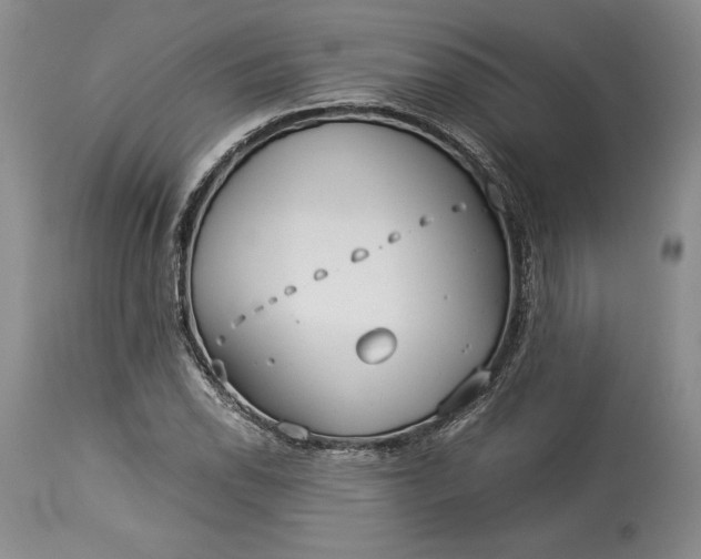 X0000114191118200910231315