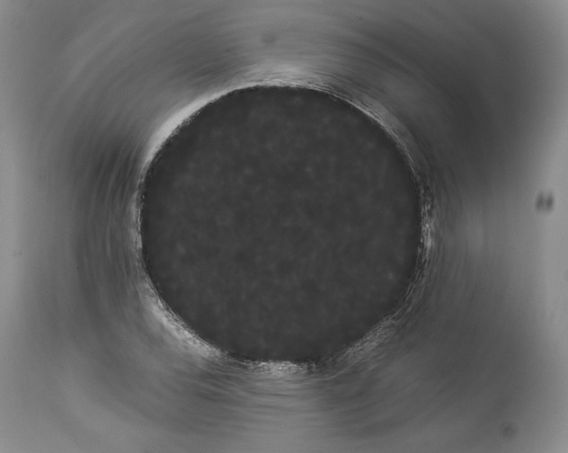 X0000114191120200910231315