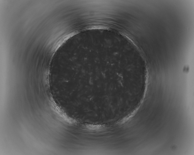 X0000114191121200910231315