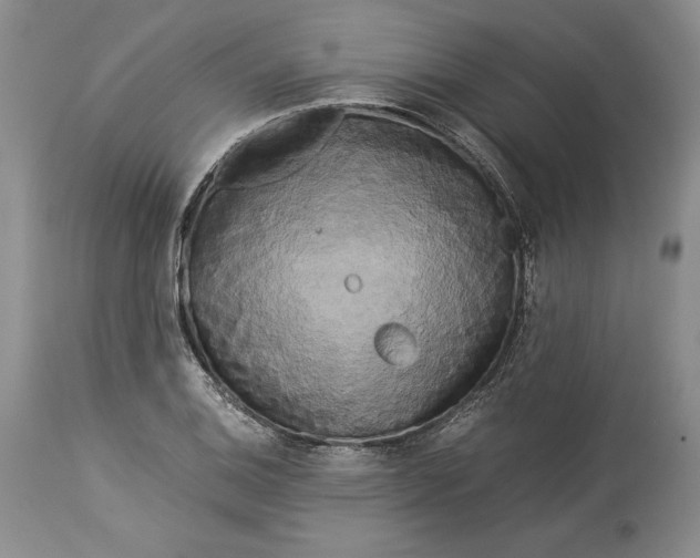 X0000114191124200910231315