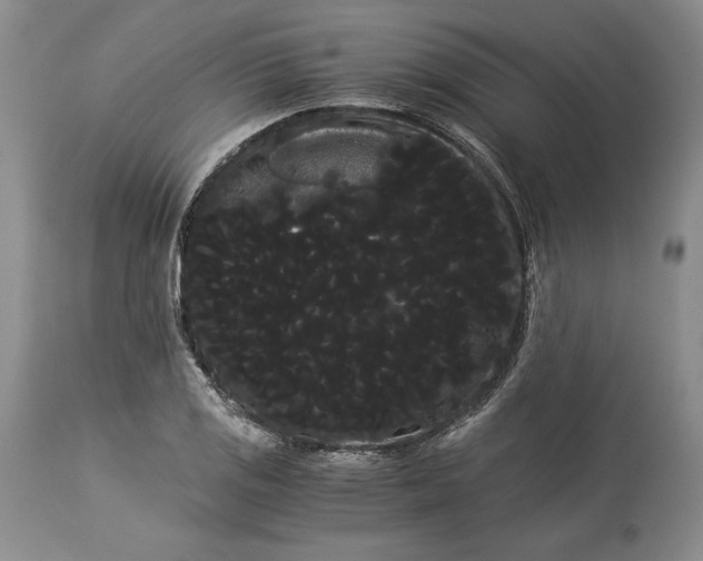 X0000114191125200910231315