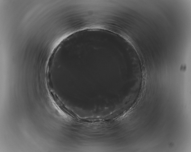 X0000114191127200910231315