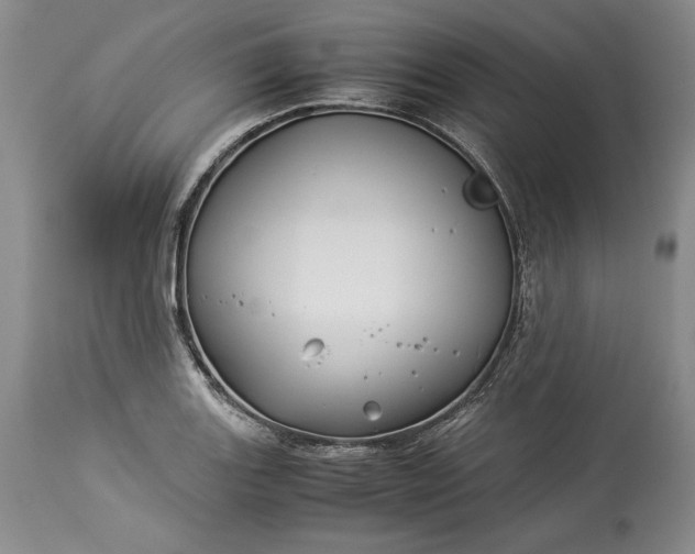 X0000114191131200910231315