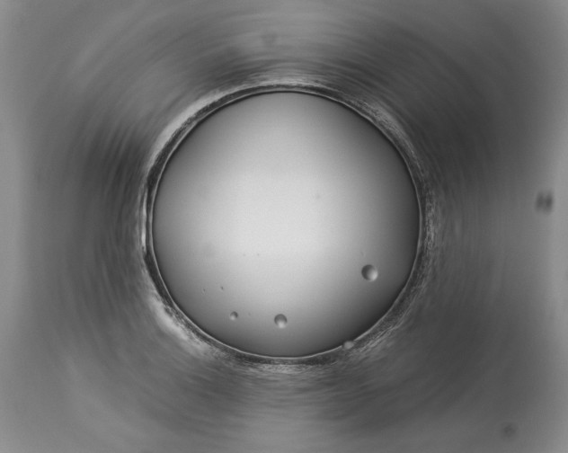 X0000114191132200910231315