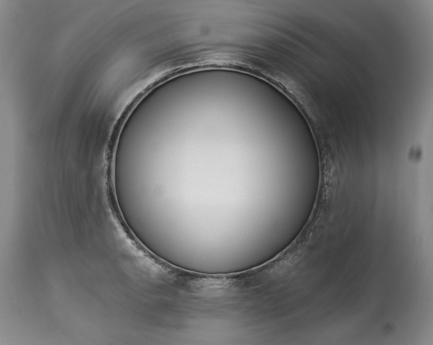 X0000114191134200910231315