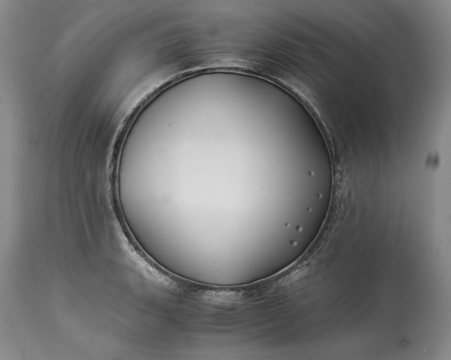 X0000114191135200910231315