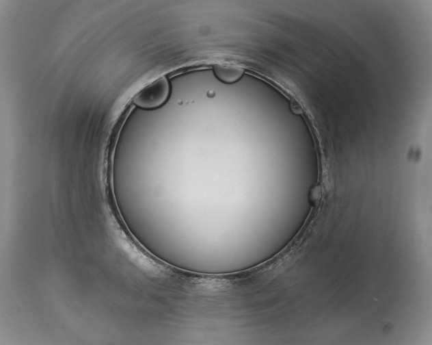 X0000114191136200910231315