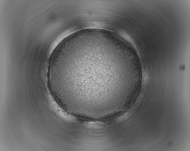 X0000114191138200910231315
