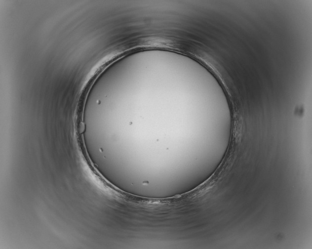 X0000114191139200910231315