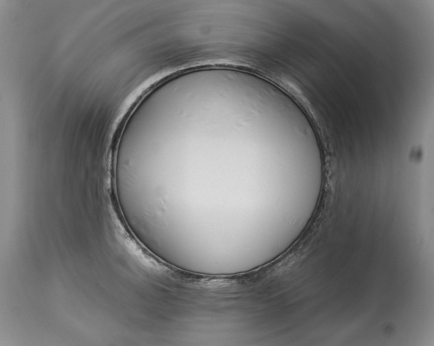 X0000114191140200910231315