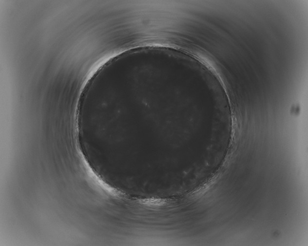 X0000114191141200910231315