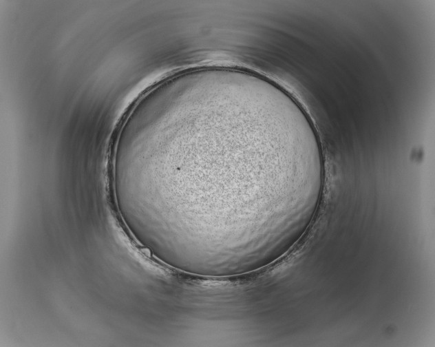 X0000114191142200910231315